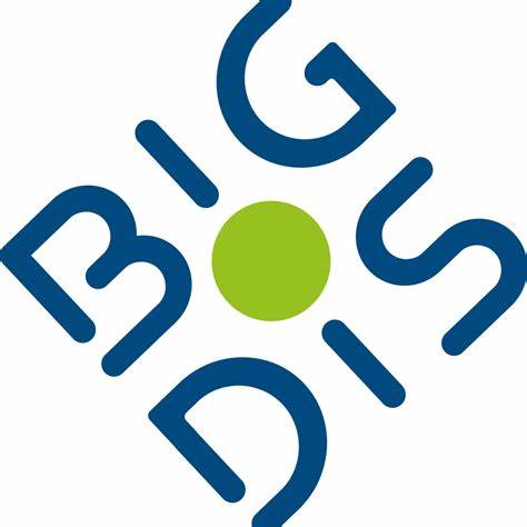 BIG DIS Logo