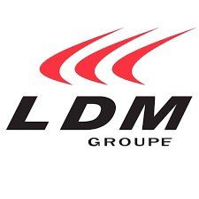 LDM Logo